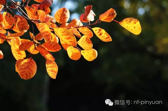 【大事記】輝煌八周年-第三季度員工表彰大會！